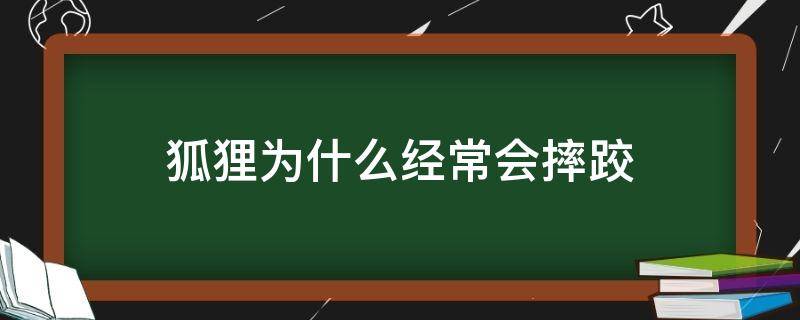 狐狸为什么经常会摔跤