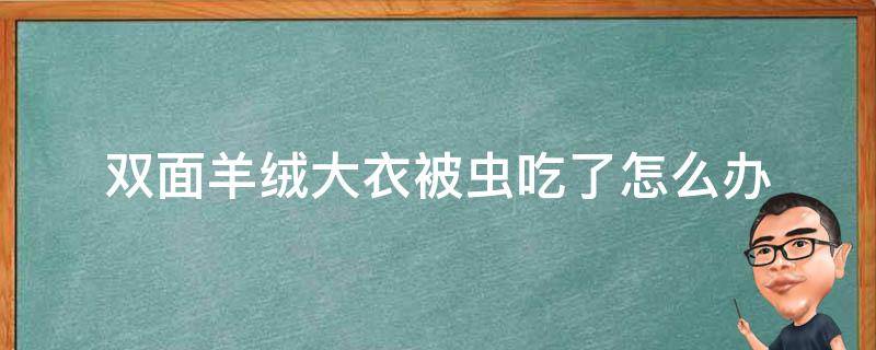 双面羊绒大衣被虫吃了怎么办