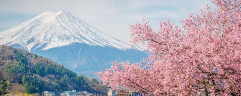 日本有哪些城市