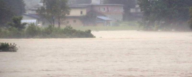 遇到暴雨如何自救