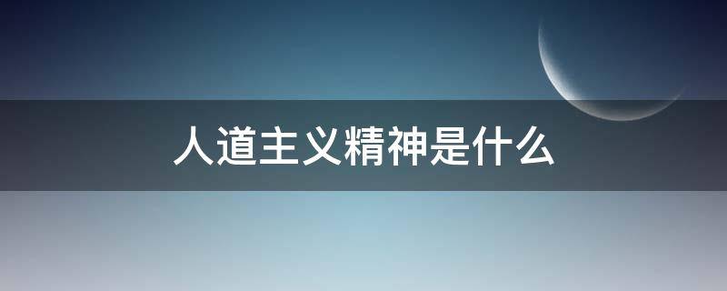 人道主义精神是什么