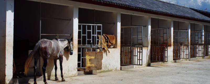 马住的地方叫什么