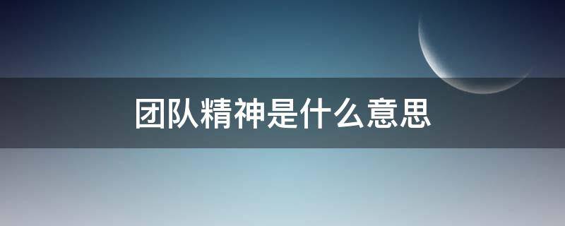 团队精神是什么意思