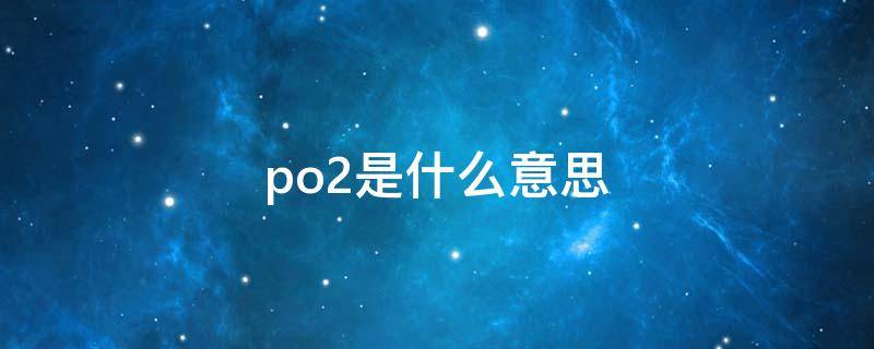 po2是什么意思