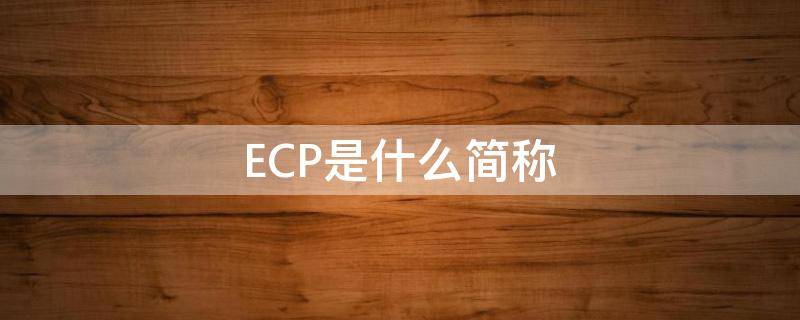 ECP是什么简称