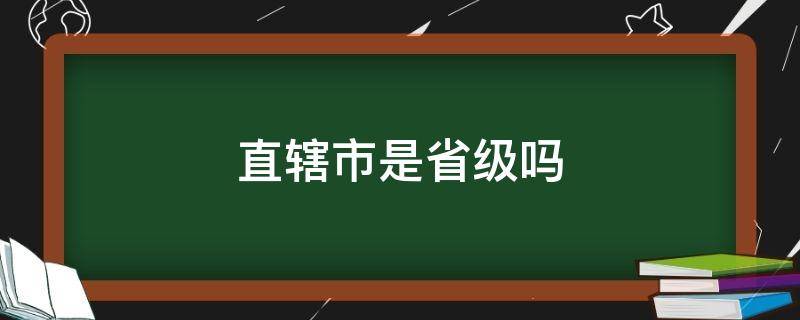 直辖市是省级吗