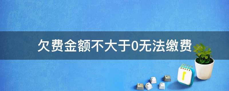 欠费金额不大于0无法缴费