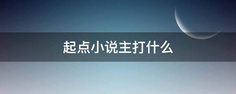 起点小说主打什么