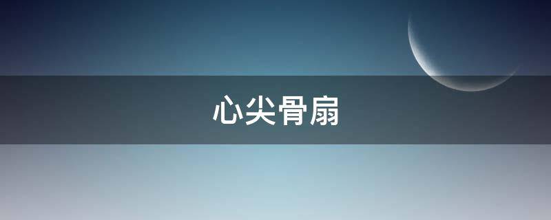 心尖骨扇