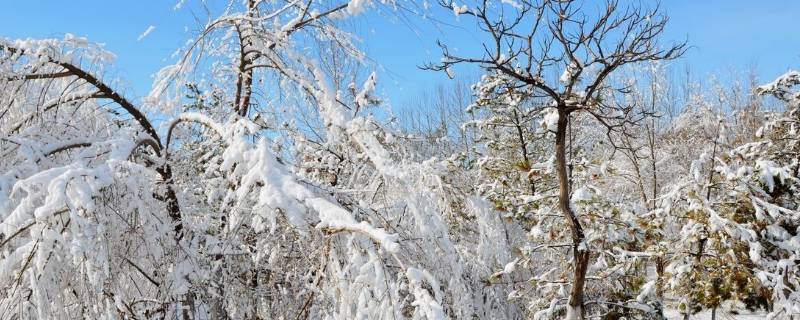 立春后下雪吗